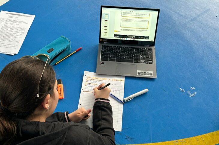 Bullismo Cyberbullismo (2)