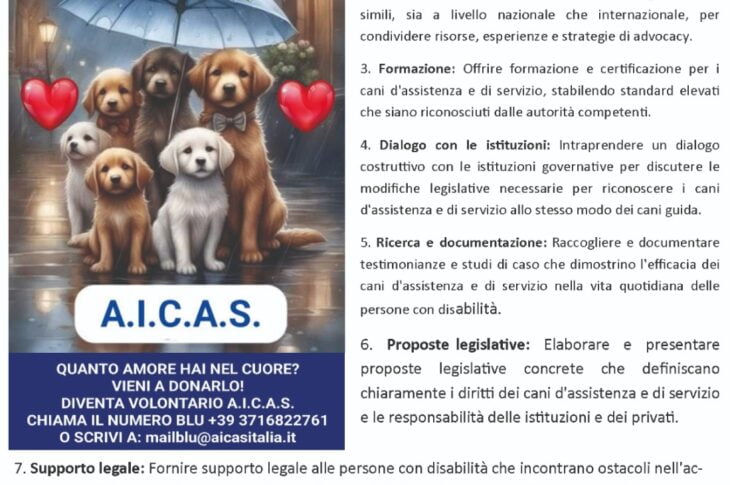 Progetto A.I.C.A.S (1)