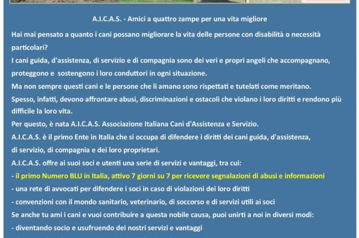 Progetto A.I.C.A.S (2)