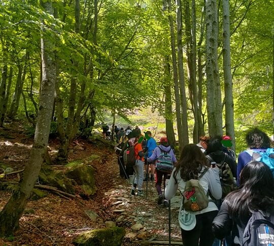 Progetto scuola trekking (5)